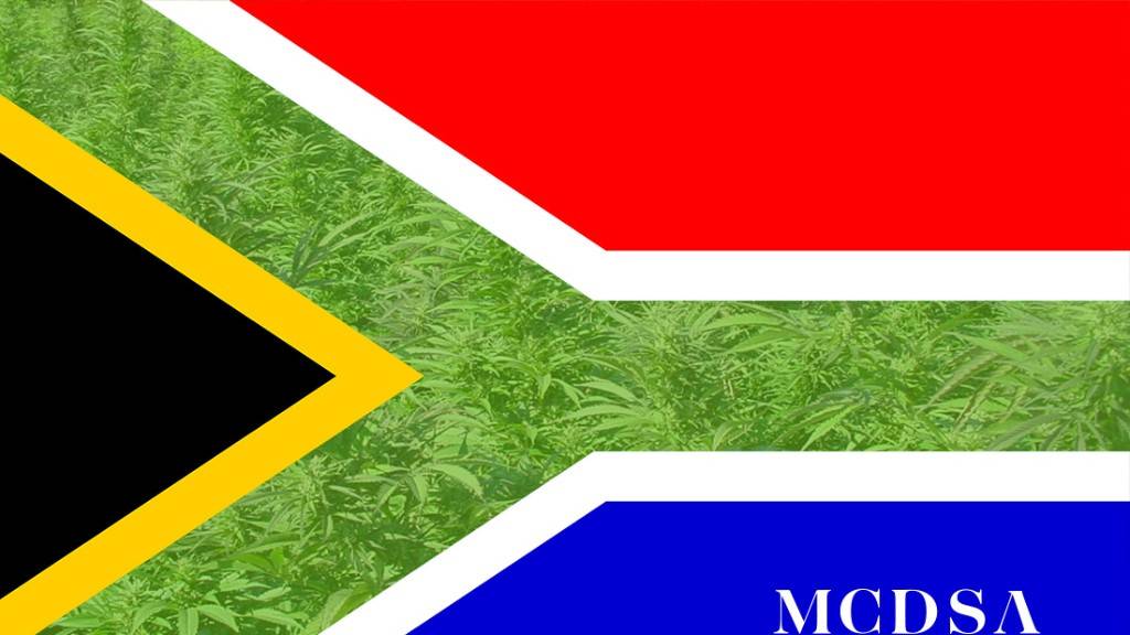 Current Cannabis Laws in South Africa