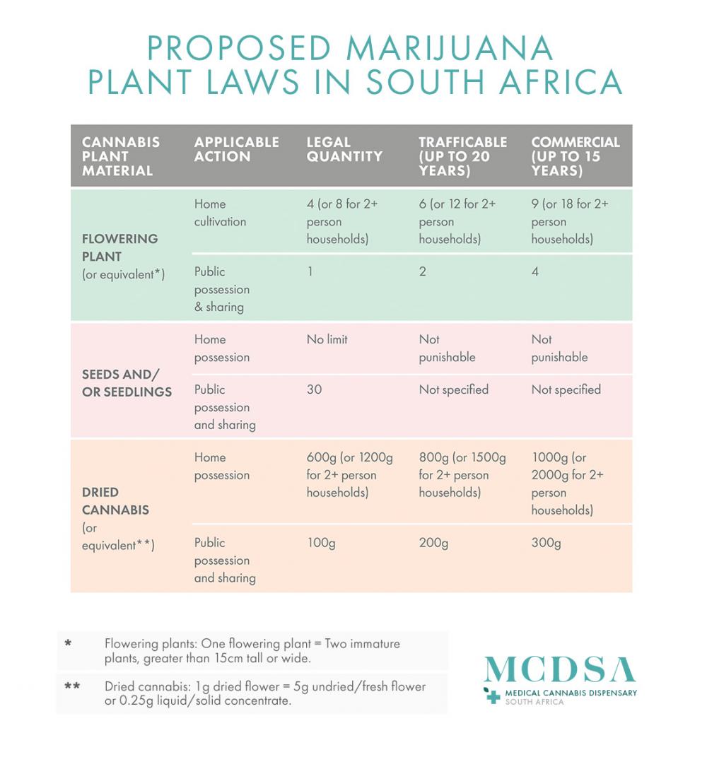 Cannabis plants laws growing, possession and use